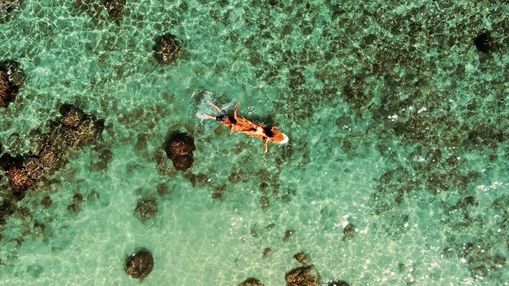 Plankenstein: A Killer Surf Movie（原題）の画像