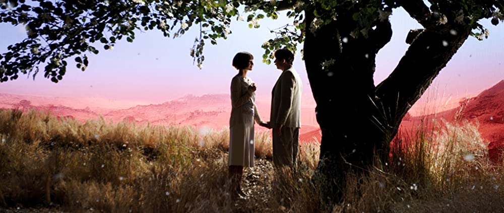 チキンとプラム 〜あるバイオリン弾き、最後の夢〜の画像