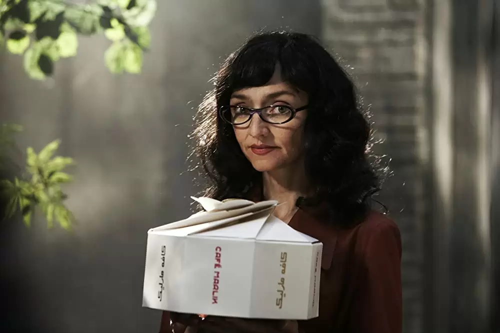 チキンとプラム 〜あるバイオリン弾き、最後の夢〜の画像