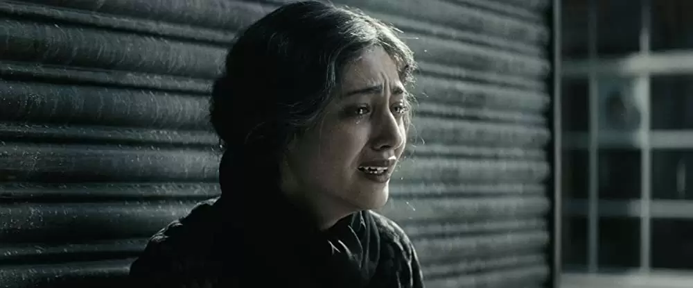 チキンとプラム 〜あるバイオリン弾き、最後の夢〜の画像