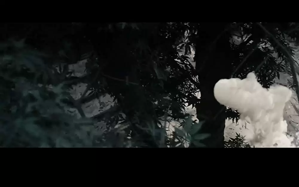 チキンとプラム 〜あるバイオリン弾き、最後の夢〜の画像