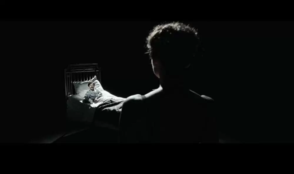 チキンとプラム 〜あるバイオリン弾き、最後の夢〜の画像