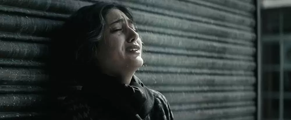 チキンとプラム 〜あるバイオリン弾き、最後の夢〜の画像