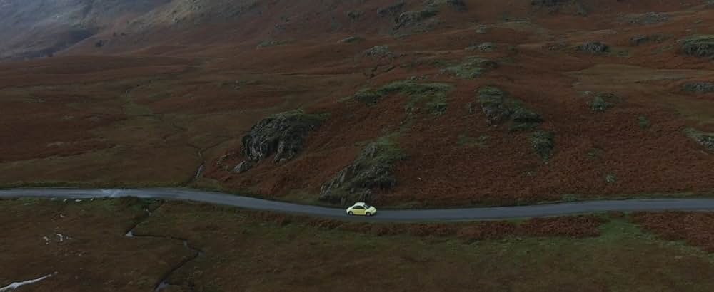 プテロダクティルス ワイバーンの守護者の画像