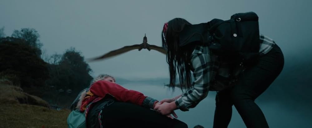 プテロダクティルス ワイバーンの守護者の画像