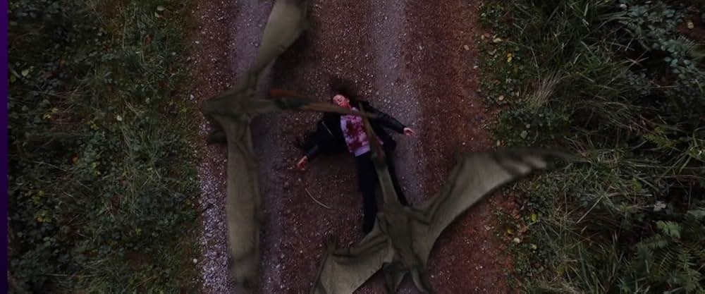 プテロダクティルス ワイバーンの守護者の画像