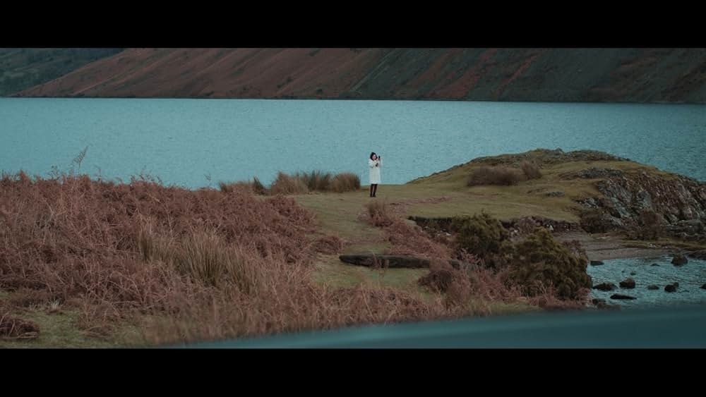 プテロダクティルス ワイバーンの守護者の画像