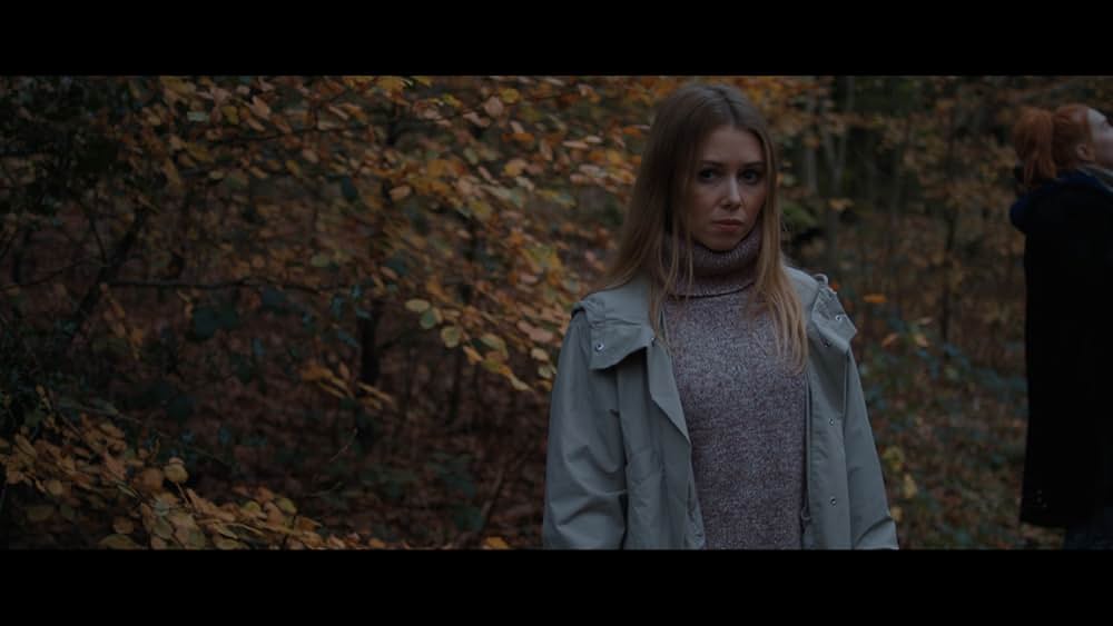 プテロダクティルス ワイバーンの守護者の画像