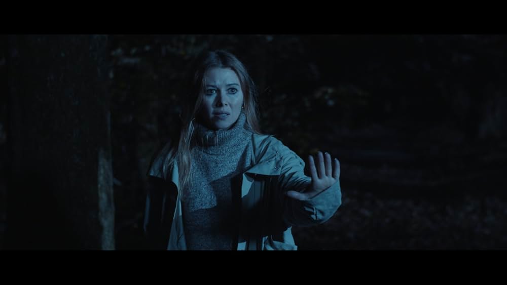 プテロダクティルス ワイバーンの守護者の画像