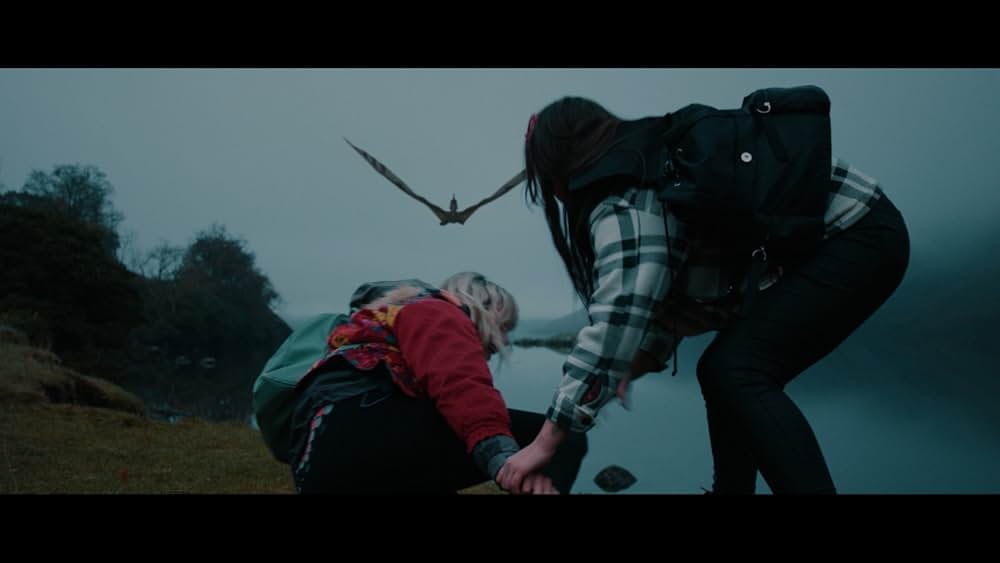 プテロダクティルス ワイバーンの守護者の画像