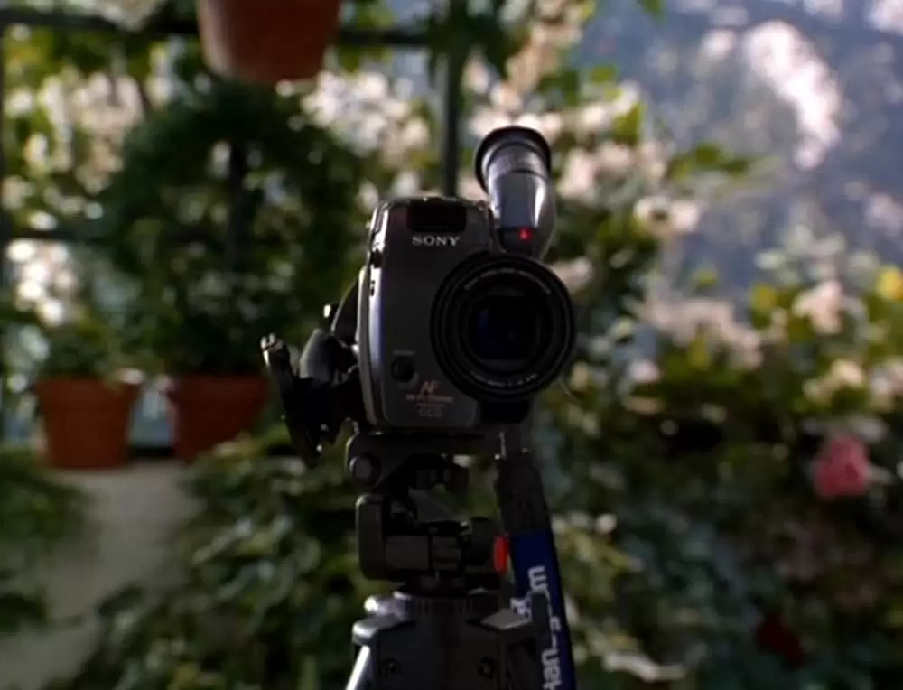 マイ・ライフの画像