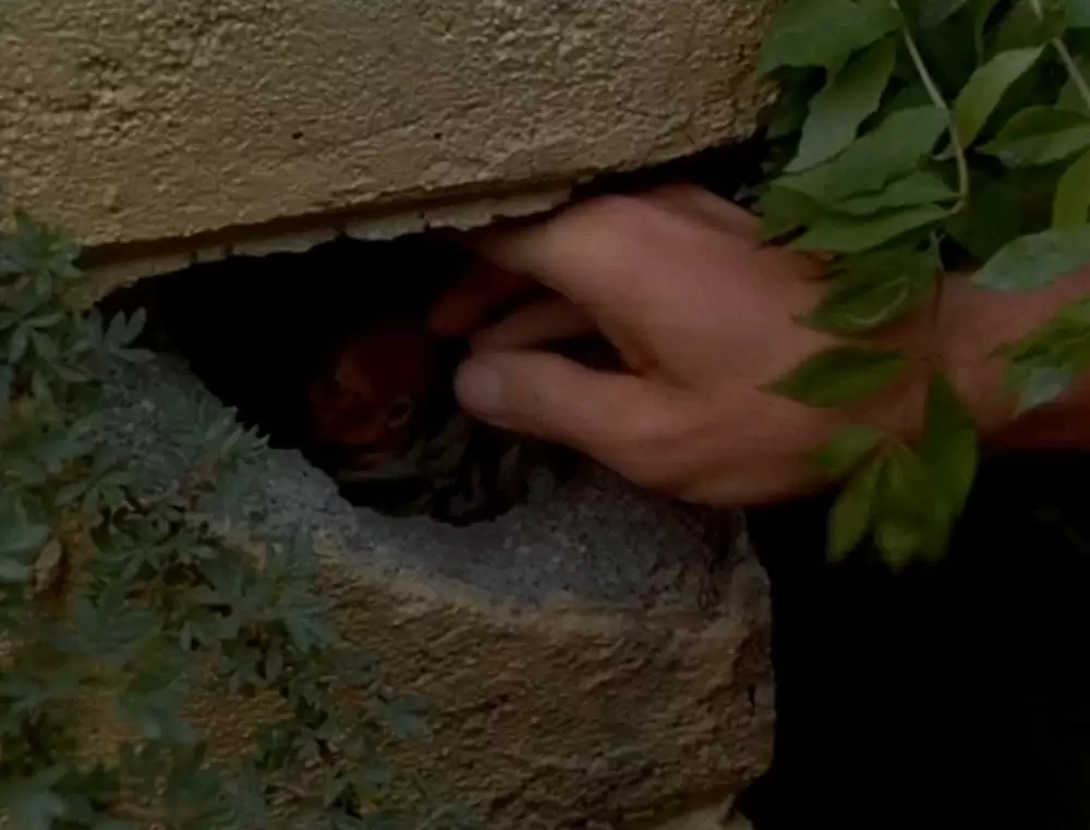 マイ・ライフの画像