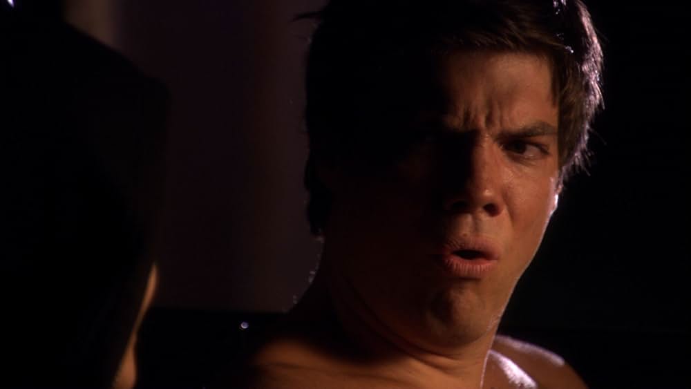 アメリカン・パイスクールの画像