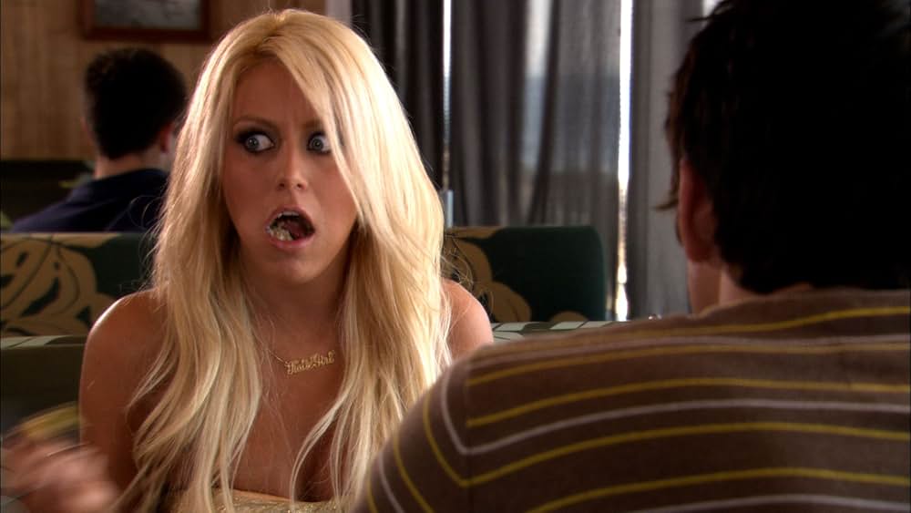 アメリカン・パイスクールの画像