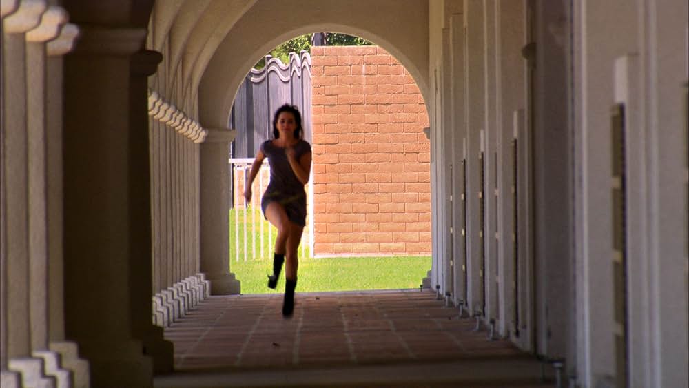 アメリカン・パイスクールの画像