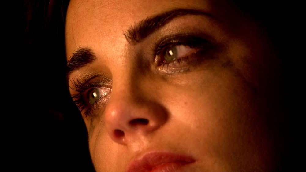 アメリカン・パイスクールの画像