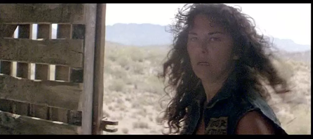 ガントレットの画像