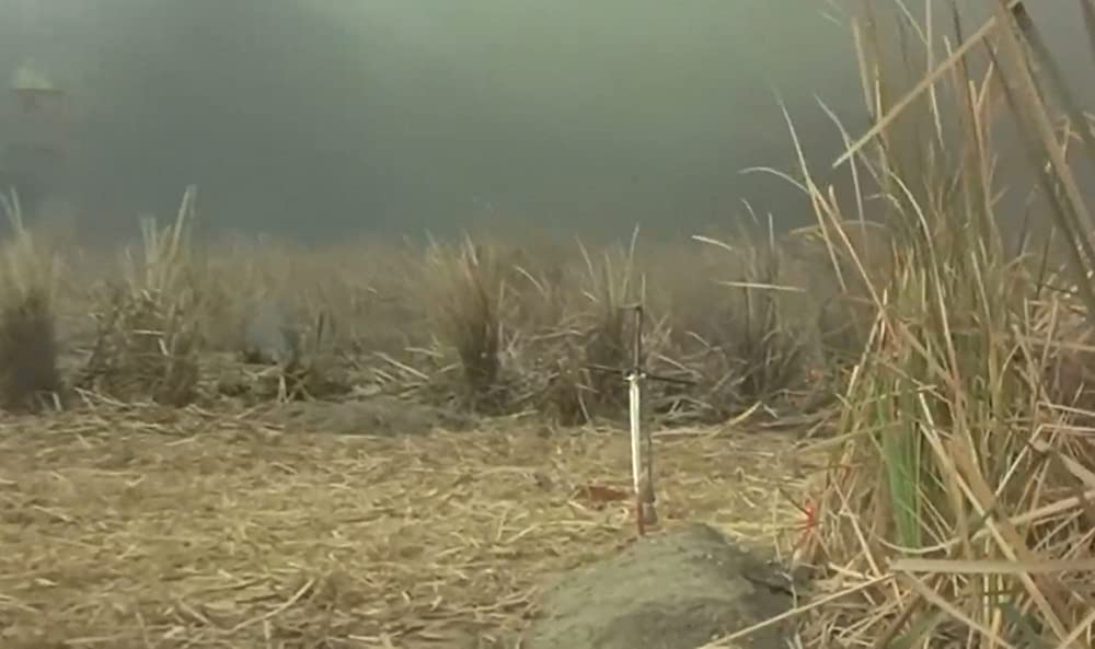 レッド・サンの画像