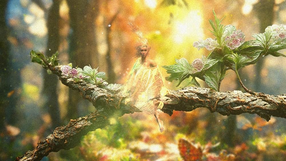 かつてそこにあった木の画像