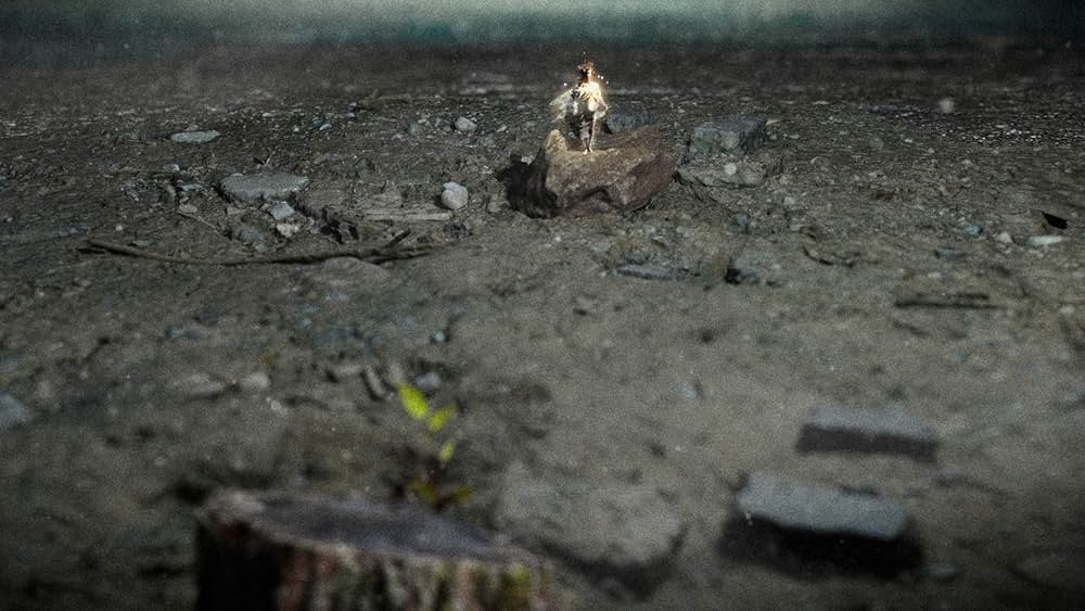 かつてそこにあった木の画像