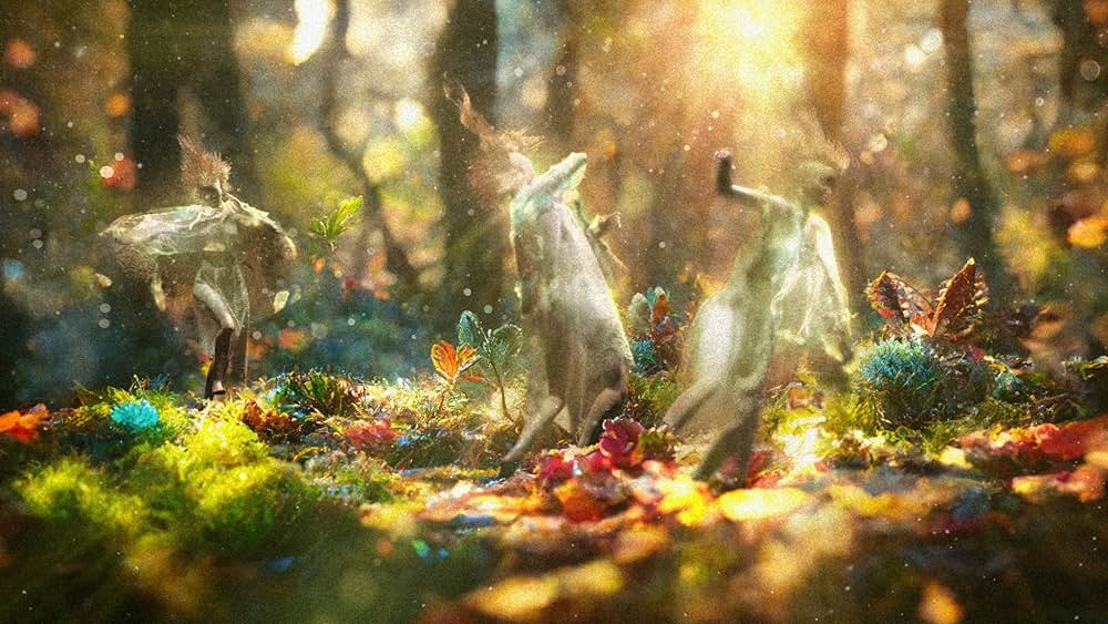 かつてそこにあった木の画像