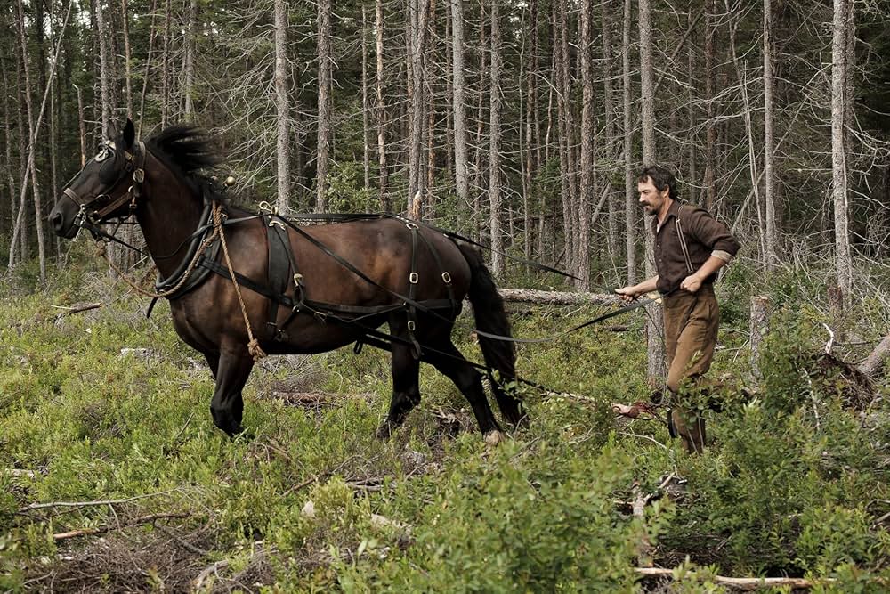 Maria Chapdelaine（原題）の画像