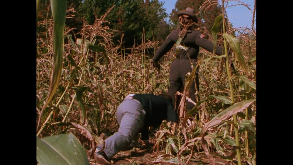 Skinned Alive（原題）の画像