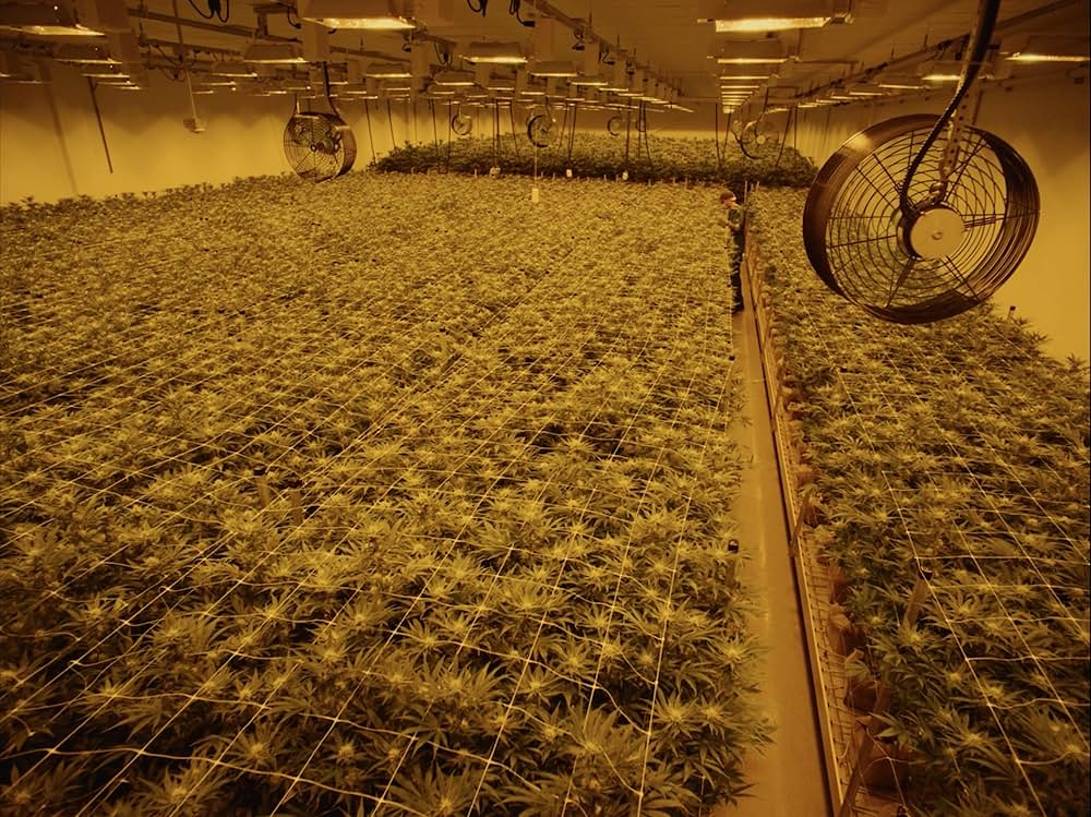 マイケルトンプソンの判決の写真