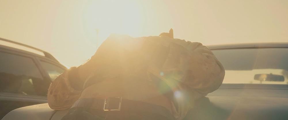 ドライヴの画像