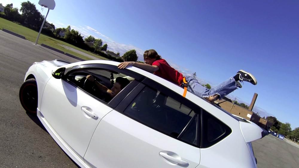 Therapy Dogs（原題）の画像