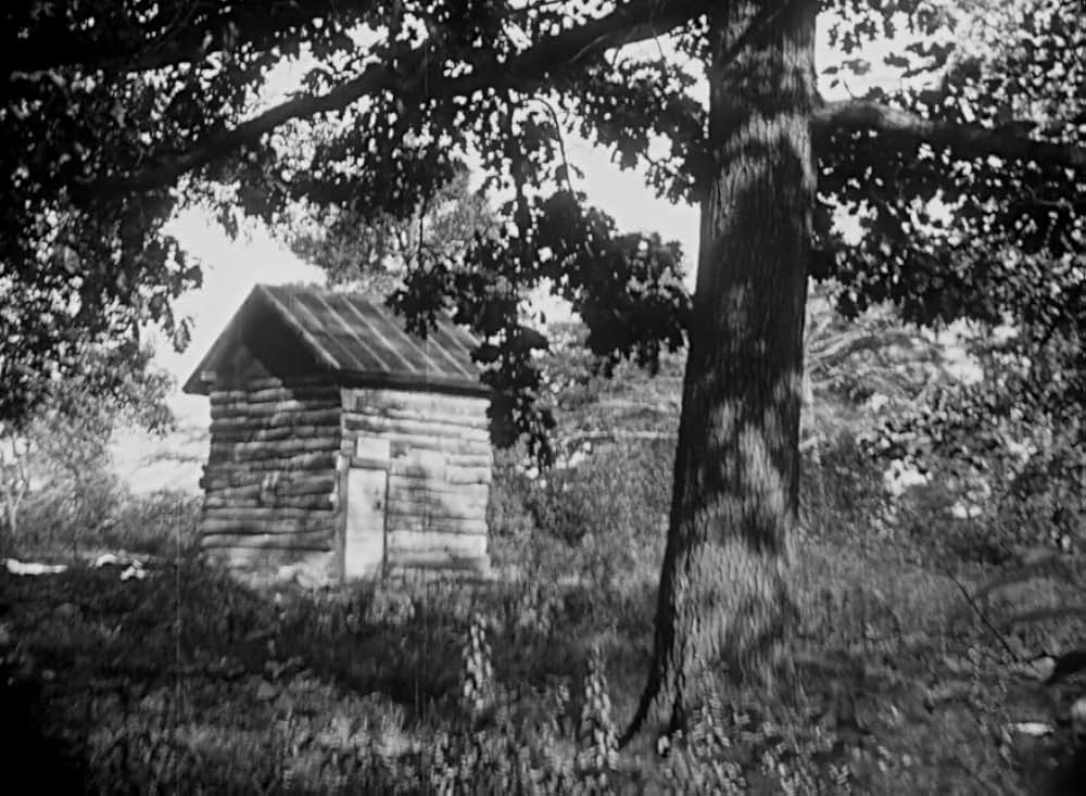 The Symbol of the Unconquered（原題）の画像