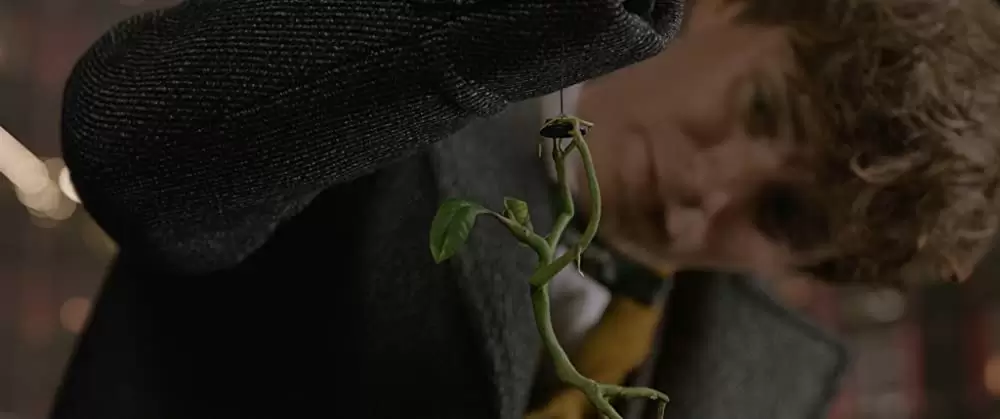 「ファンタスティック・ビーストと黒い魔法使いの誕生」エディ・レッドメインの画像