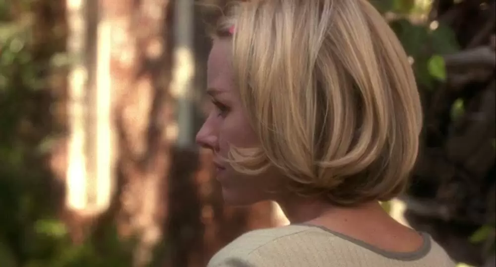 マルホランド・ドライブの画像