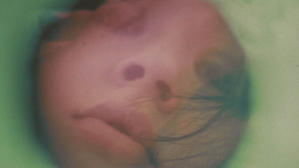 Soleil（原題）の写真