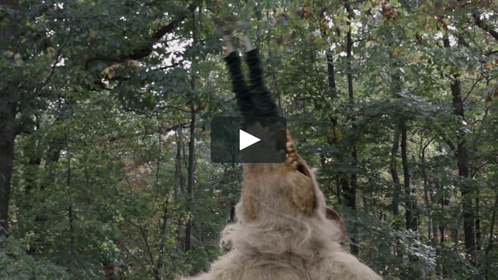 Beaster Day: Here Comes Peter Cottonhell（原題）の画像