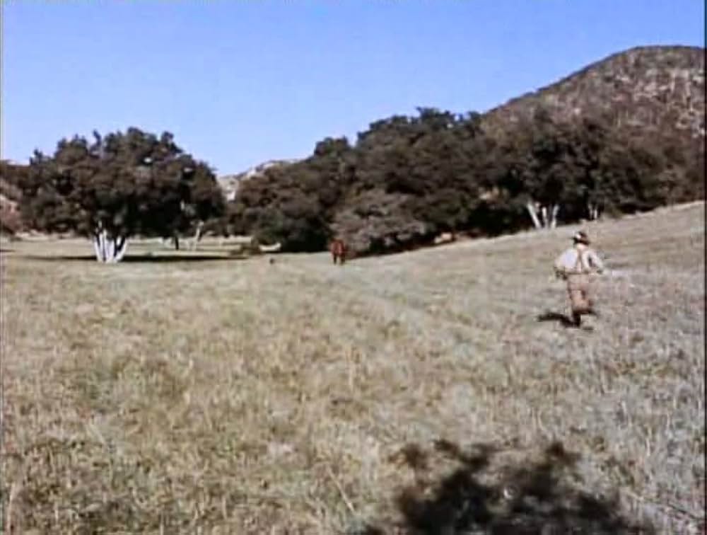 Savage Sam（原題）の画像