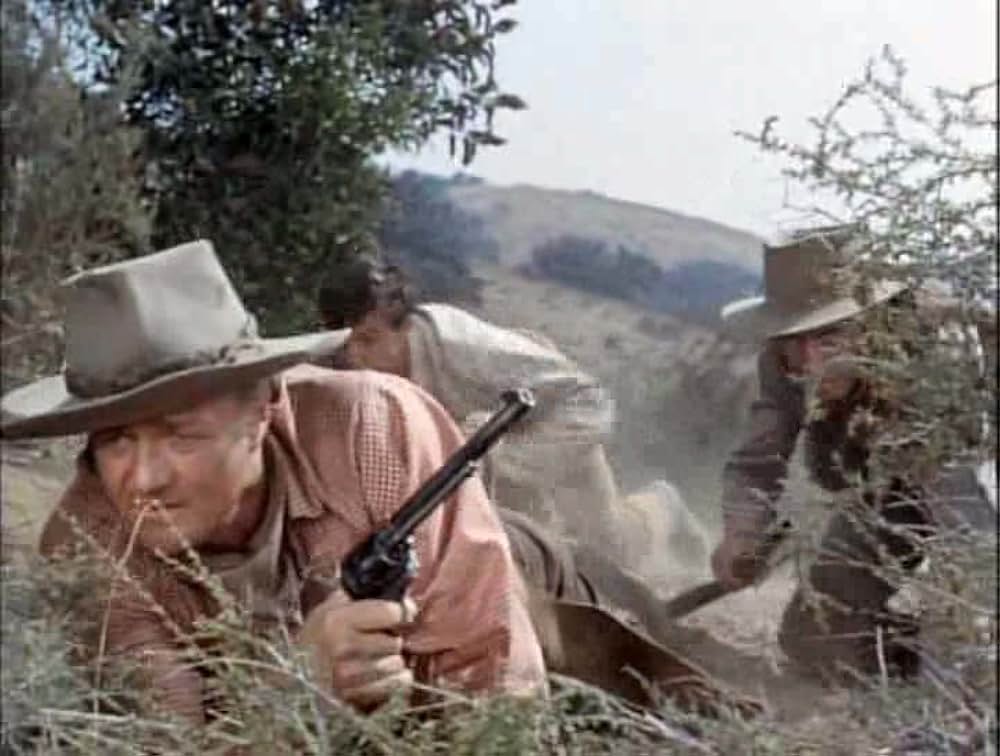 Savage Sam（原題）の画像