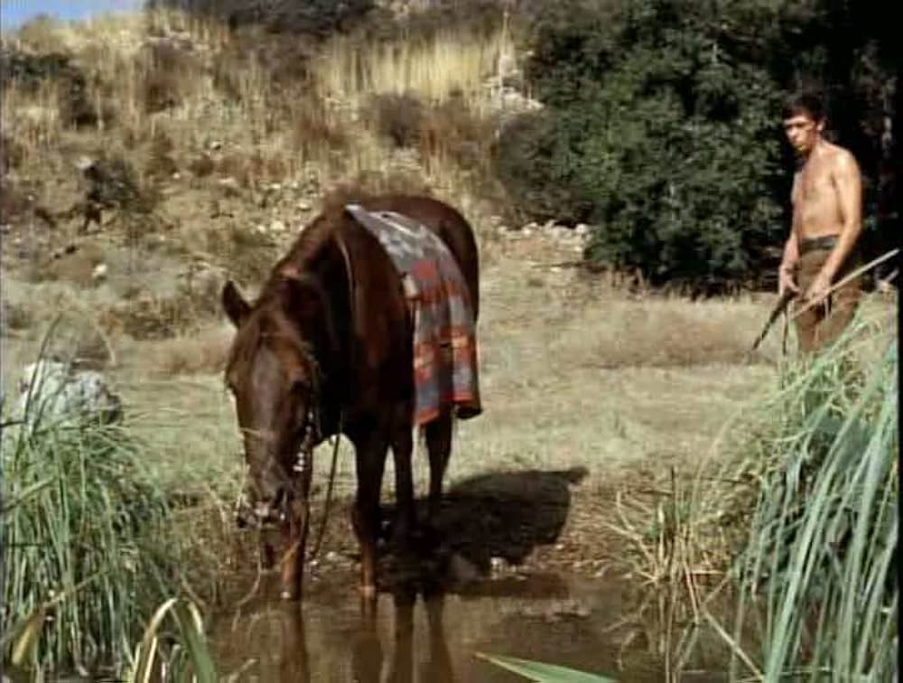 Savage Sam（原題）の画像