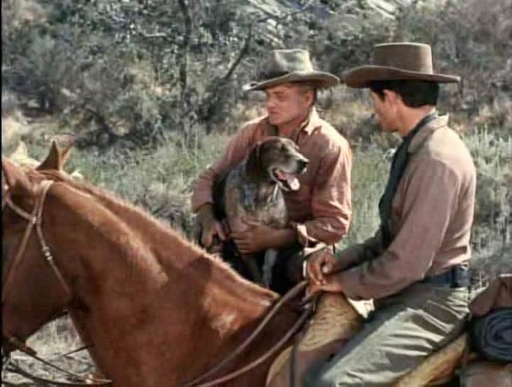 Savage Sam（原題）の画像