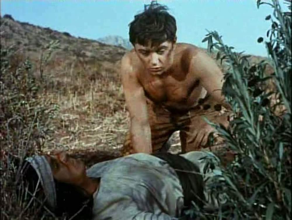 Savage Sam（原題）の画像