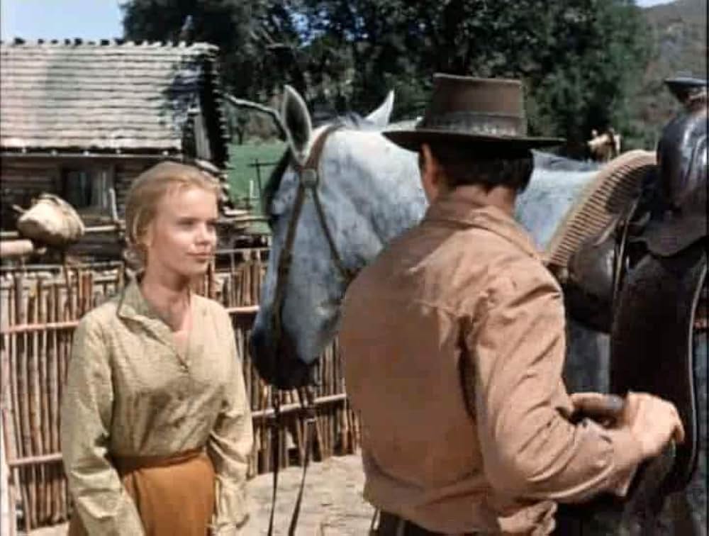 Savage Sam（原題）の画像