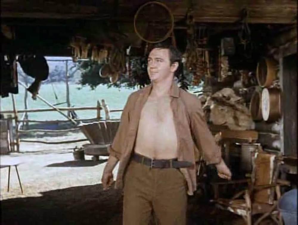 Savage Sam（原題）の画像