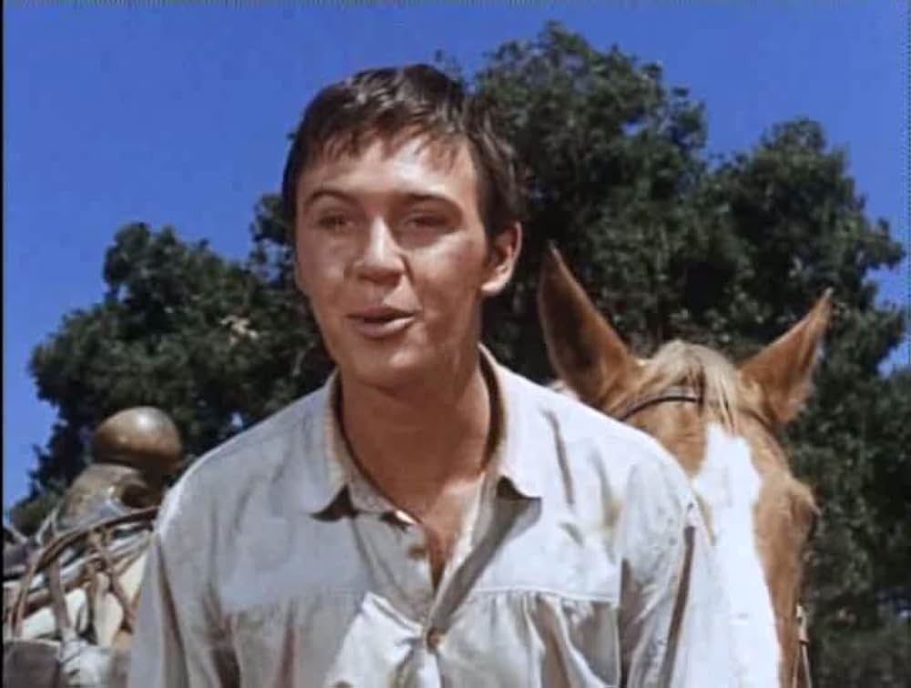 Savage Sam（原題）の画像