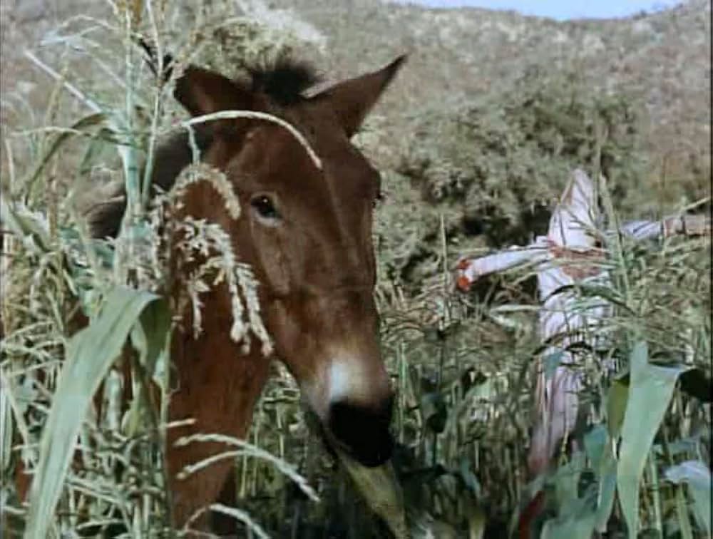 Savage Sam（原題）の画像