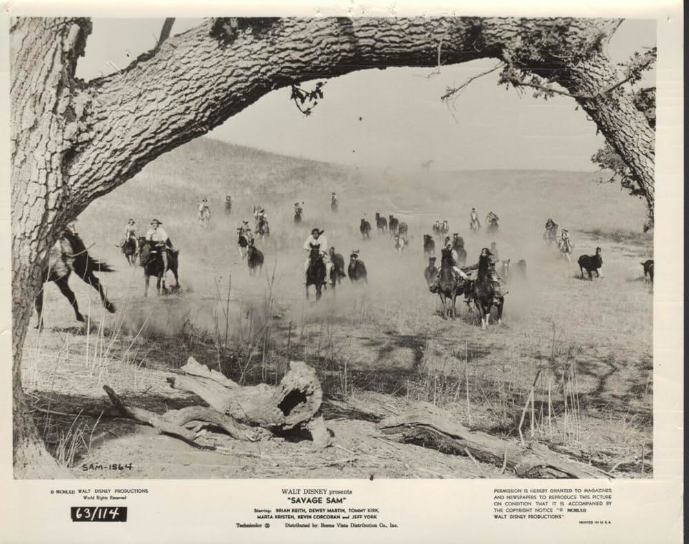 Savage Sam（原題）の画像