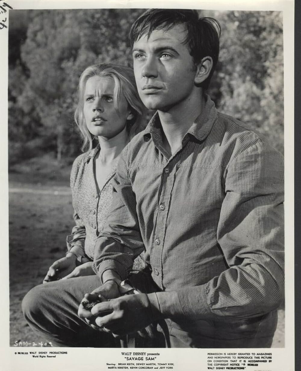 Savage Sam（原題）の画像