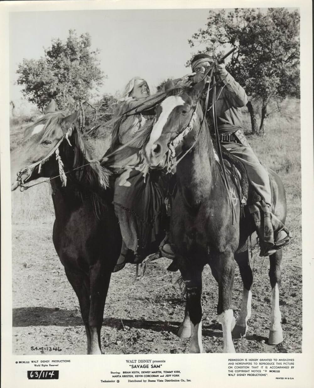 Savage Sam（原題）の画像