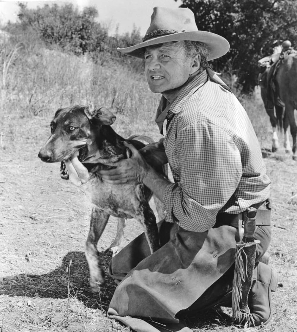 Savage Sam（原題）の画像