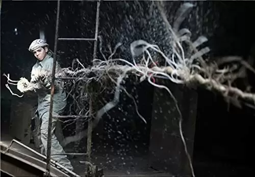 ボーダレス ぼくの船の国境線／ゼロ地帯の子どもたちの画像