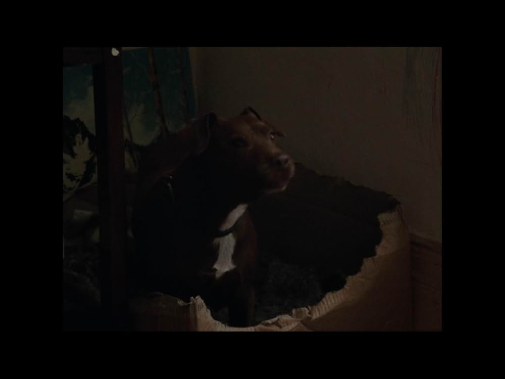 Ray & Liz（原題）の画像